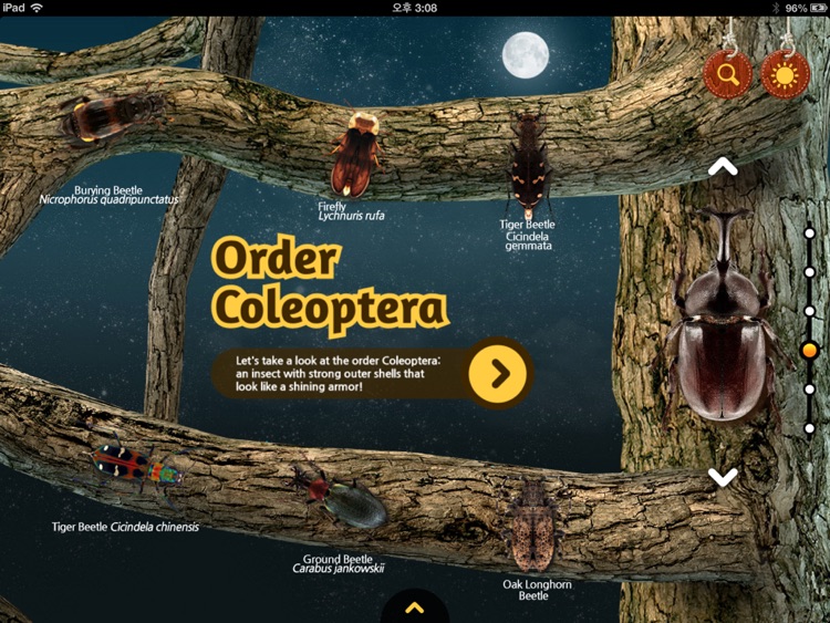 Meet the Insects: Forest Edition