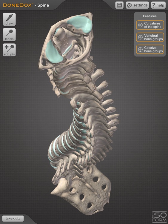 BoneBox™ - Spine Viewer screenshot-4