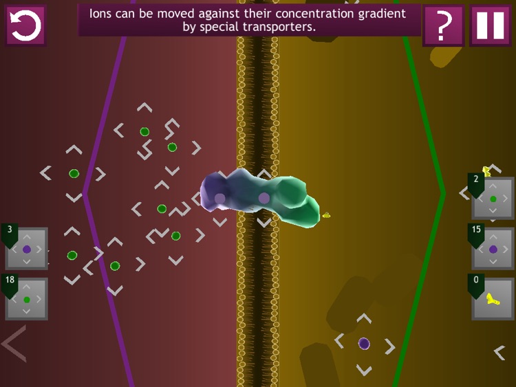 Biology Bytes: Cell Membrane Potential screenshot-3