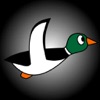 Duck Hunting icon