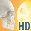 Dentapedia HD (Orthognathic surgery)