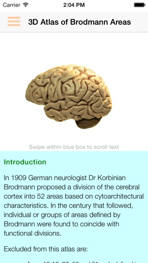 Brodmann 3D Lite