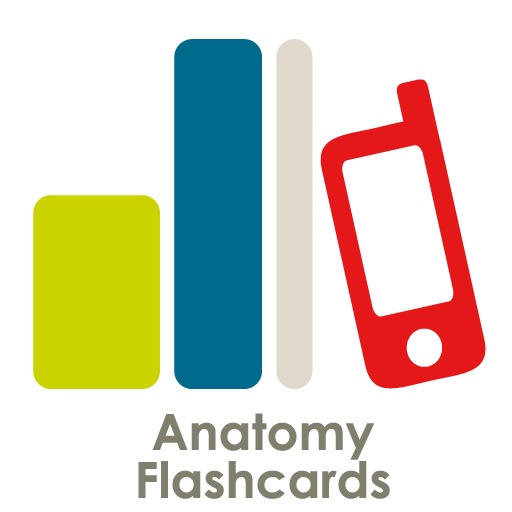 Anatomy Flashcard Review Icon