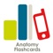 Anatomy Flashcard Review