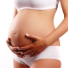 Pregnancy Guide Week By Week