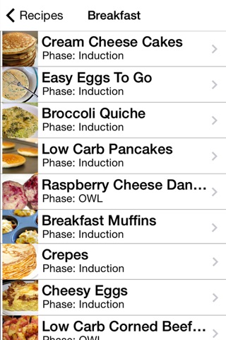 101+ Atkins Diet Recipes screenshot 3