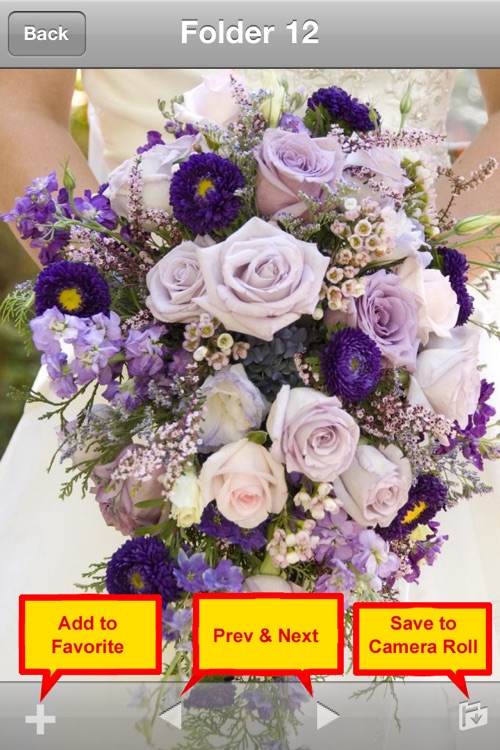 Wedding and Flower Bouquet screenshot-4