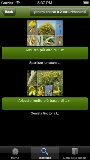 Orto Botanico di Padova  - Una caccia al tesoro(圖3)-速報App