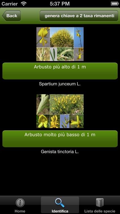 Orto Botanico di Padova  - Una caccia al tesoro