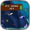 Fun Animal Sea