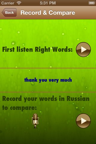 Learn Russian Phrases In Female Voice screenshot 4