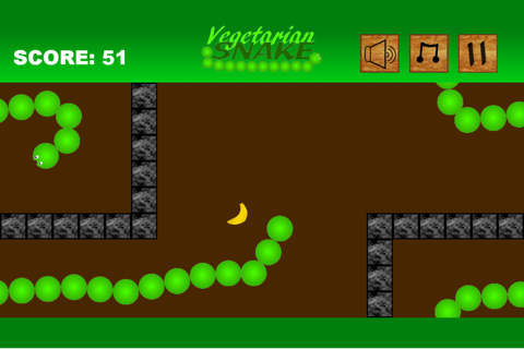 Vegetarian Snake screenshot 2