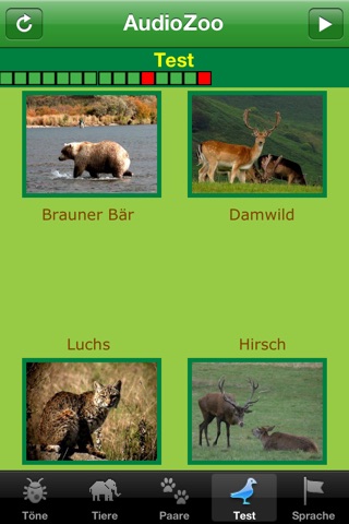 AudioZoo: Animal Sounds screenshot 4