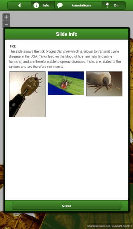 smart Microscope Lite screenshot-4