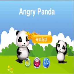 Angry Panda.Frustrated Panda