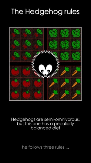 Hedgehog Gardens - Logic Games