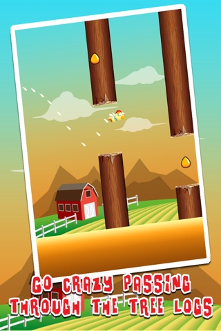 Crazy Chicken Flying - Flappy Flap Bird Free Games screenshot 3