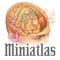 Would you like to enhance communication with your patients so they can better understand their Psychiatry and the pathologies associated to it