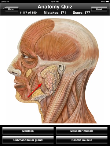 Anatomy Quiz for iPad screenshot 4