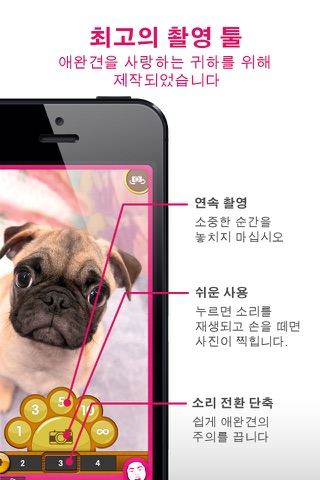 O!DogCam screenshot 2