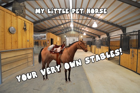 A Little Pet Horse screenshot 2