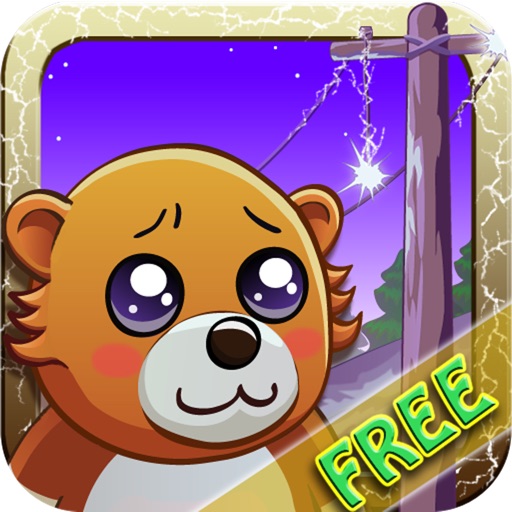 Loser Bear Free icon