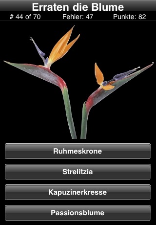 A Flower Quiz screenshot 2