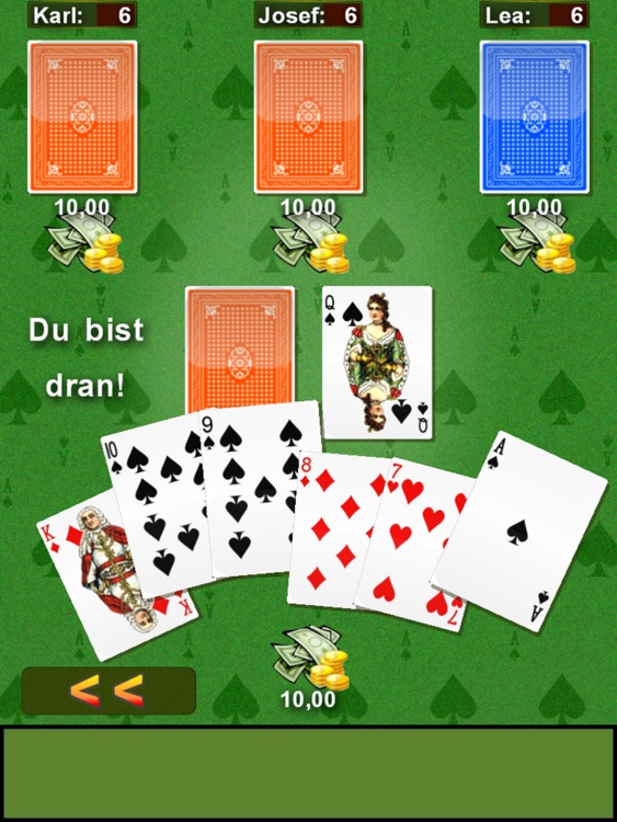 Mau Mau - card game (iPad)