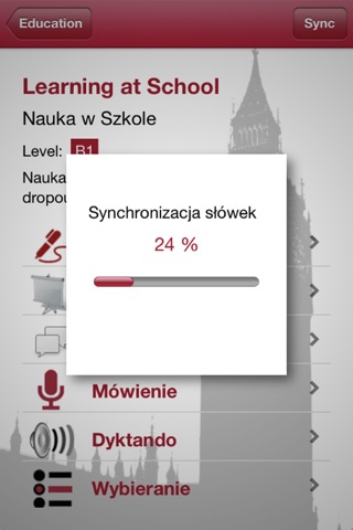 ANGIELSKI : elector.pl screenshot 3