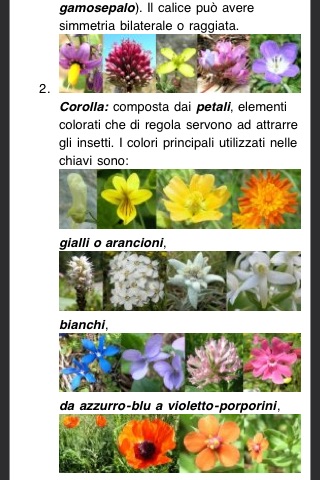 Cento piante da scoprire nell'Orto Botanico di Catania screenshot 2