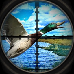 A Sling-Shot Duck Hunt-ing Adventure: First Person Snipe-r Shoot-er Game Free