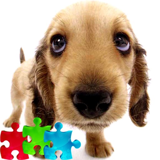 2000+ Cute Puppy Jigsaw Puzzle - Free icon