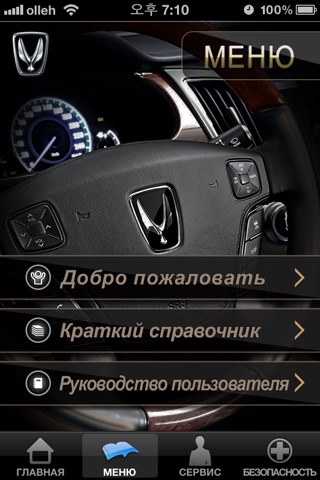 Сервисное обслуживание автомобиля «Хёндэ Экус»(«Сентениал») screenshot 2