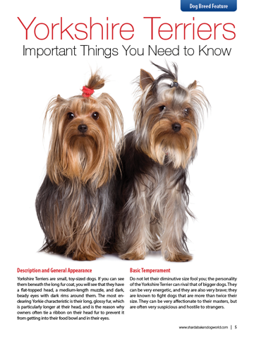 Скриншот из Sharda Bakers Dog World Magazine - Everything you need to know about the amazing world of dogs.