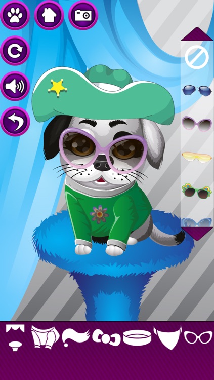 Dress-Up Pets