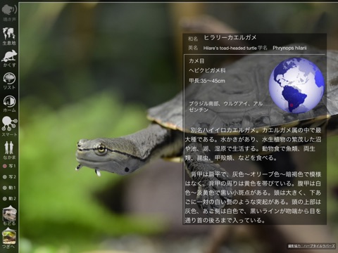 Reptile Life for Japan FREE screenshot 2