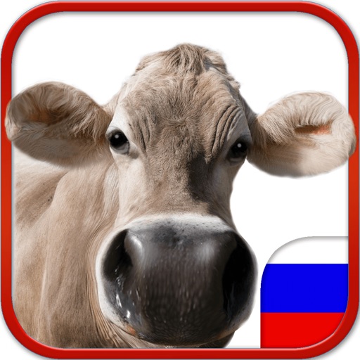 Фото Маленького Гения - приложение для дошкольников iOS App