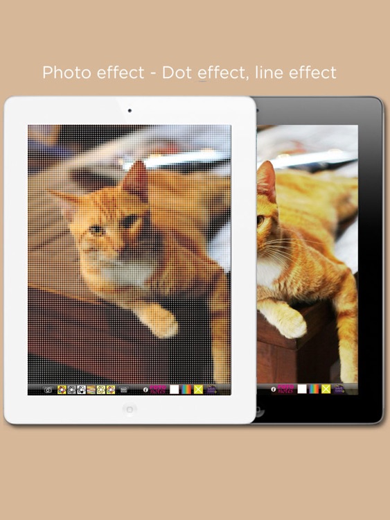 FOTO notes Free for iPad screenshot-4