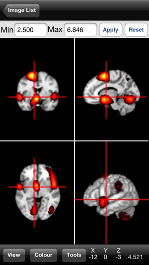 NeuroPub Visualizer