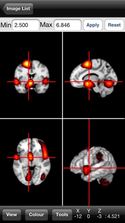 NeuroPub Visualizer