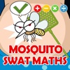 Mosquito Swat Maths: Mixed Maths