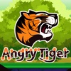 Angry Tiger