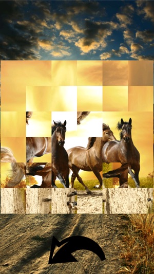 TurnPuzz - Horses in the Sunset(圖2)-速報App