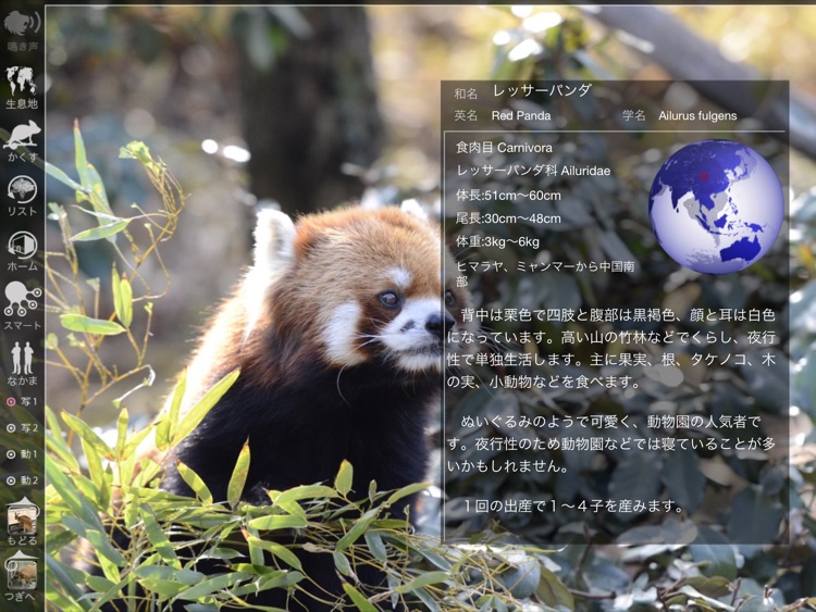 Animal Life for Japan