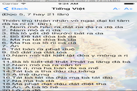 Chú Đại Bi và Thập chú. screenshot 3