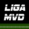 Liga MVD