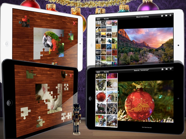 Flickr Photo Viewer And Puzzle Maker