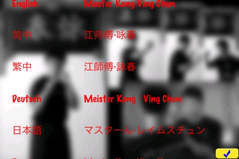 Ving Chun by Master Kong screenshot 3