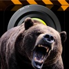 Bear Attack FX