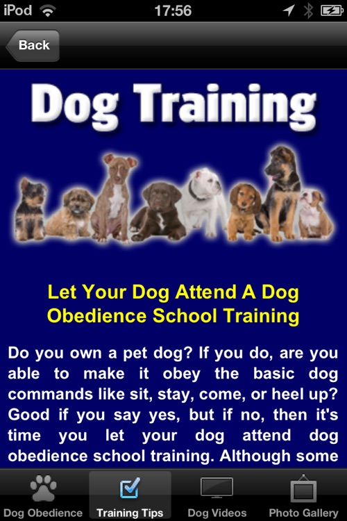 Dog Training: Obedience, Behaviour and Commands screenshot-3